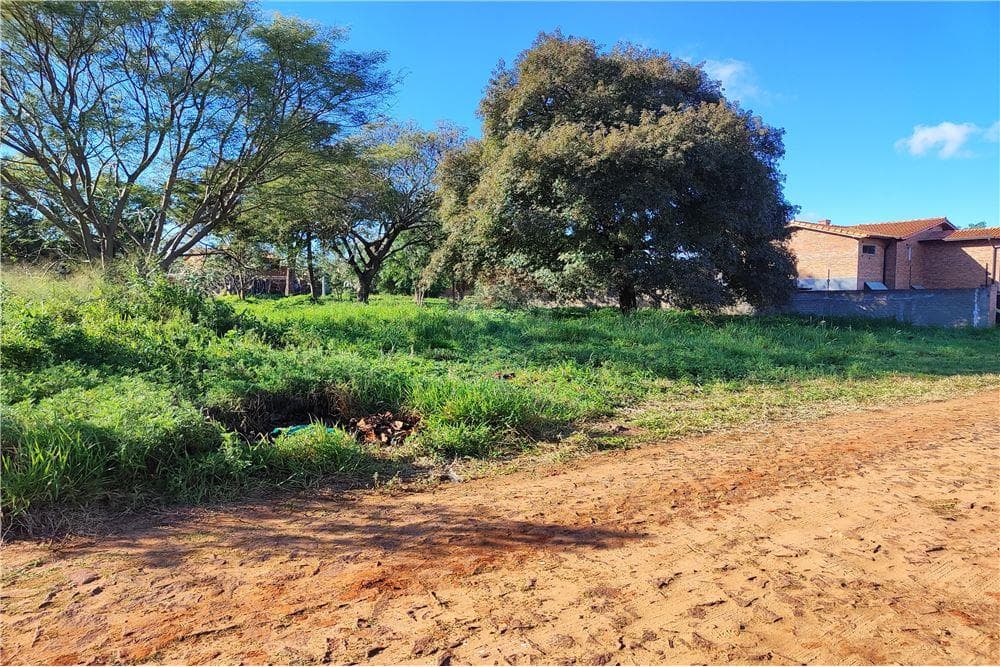 VENDO AMPLIO TERRENO EN LUQUE – 2
