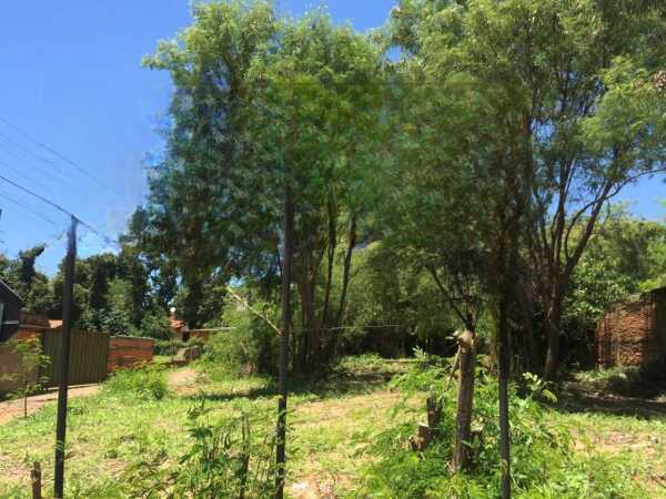 VENDO TERRENO A PRECIO DE OFERTA EN MARIANO ROQUE ALONSO – 2