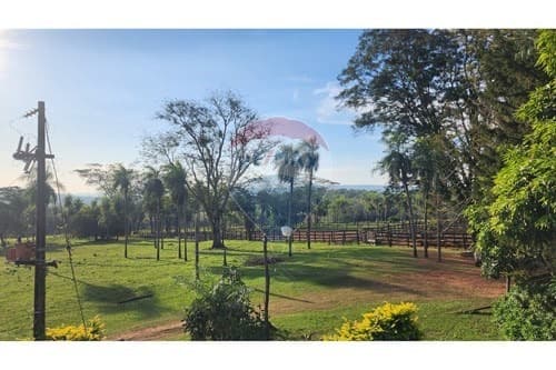 VENDO ESTANCIA GANADERA Y AGROPECUARIA EN PARAGUARÍ INVERSIÓN SEGURA Y RENTABLE – 2