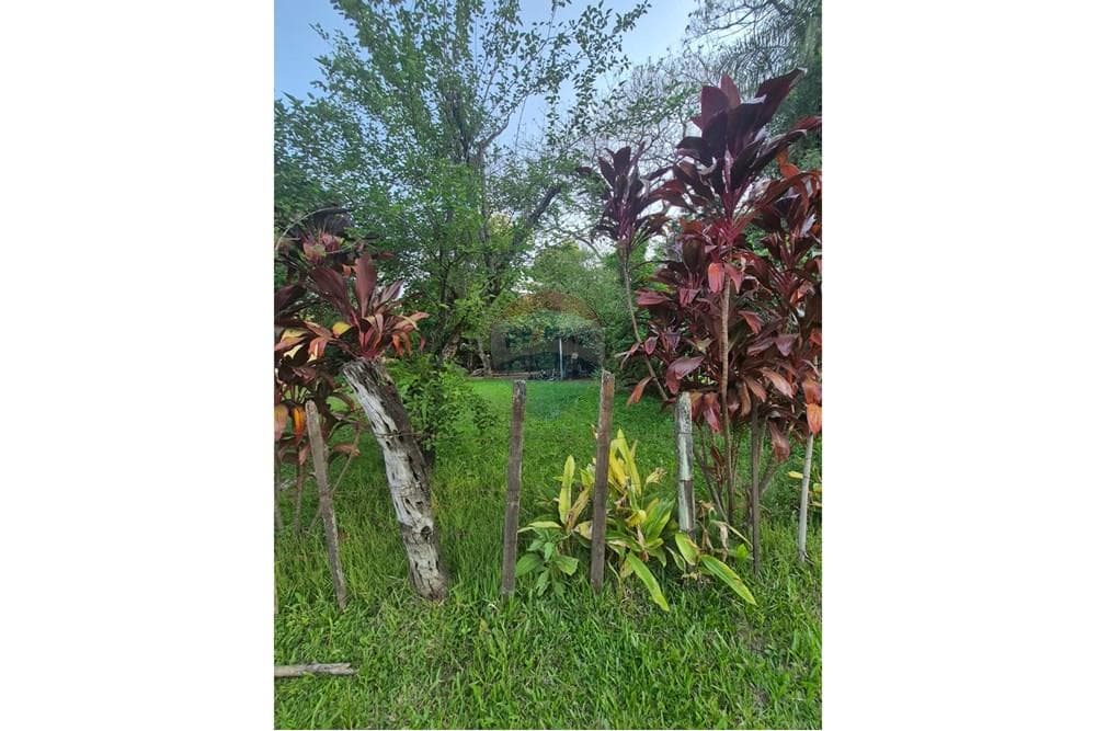 Terreno - Venta - Itauguá, Paraguay, Aprovecha esta opción! – 2