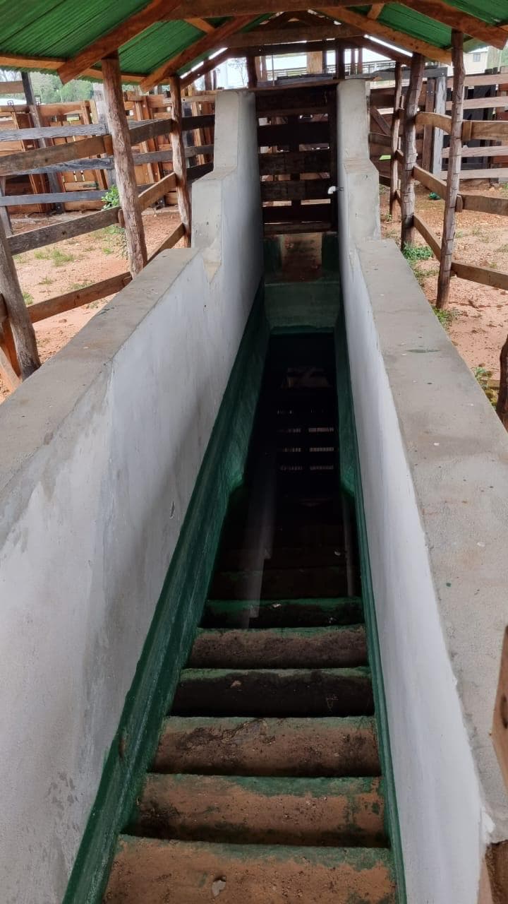 Vendo Campo de 1.300 Hectáreas en Guayaibí, San Pedro - CLCS6013879 – 2