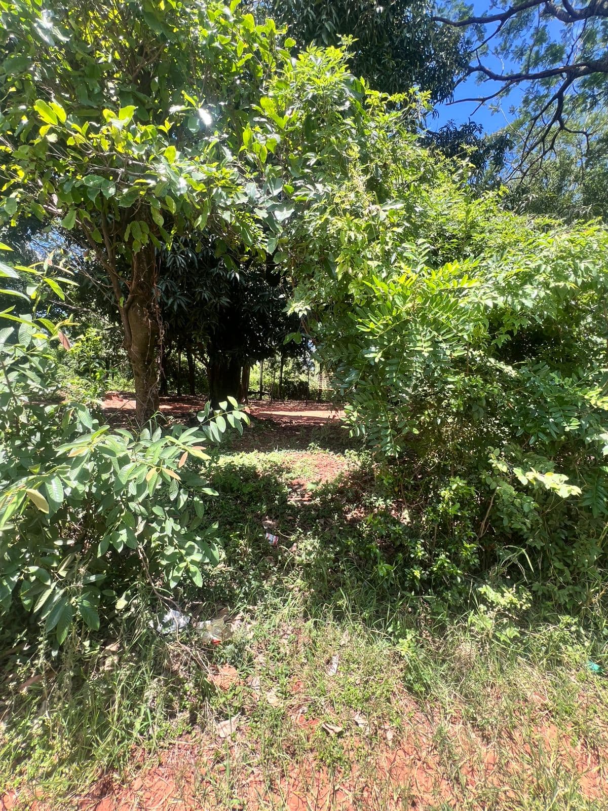 VENTA DE GRAN TERRENO EN ITAGUA 9.993 m2