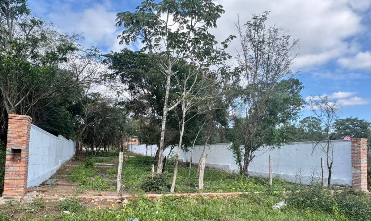 VENDO AMPLIO TERRENO EN SAN BERNARDINO – 2
