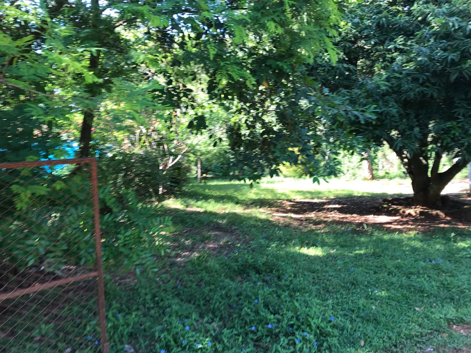 TERRENO EN VENTA SOBRE RUTA CABAÑAS-CAACUPÉ