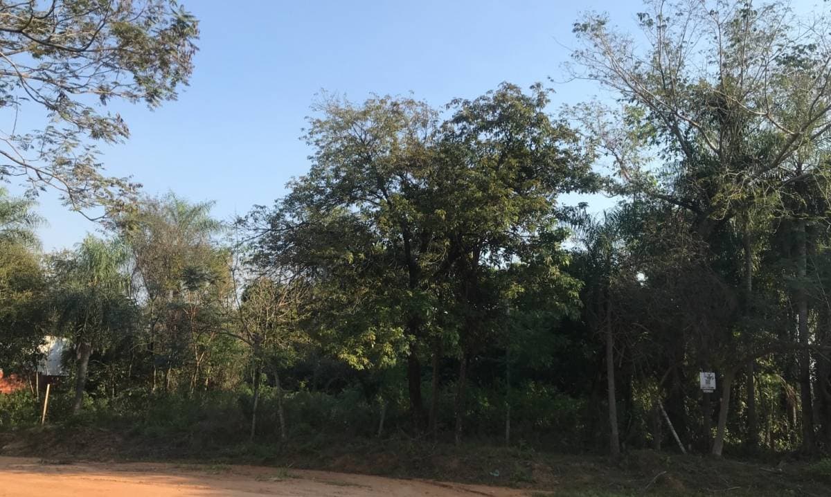VENTA TERRENO EN SAN BERNNARDINO ZONA CIERVO CUA – 3