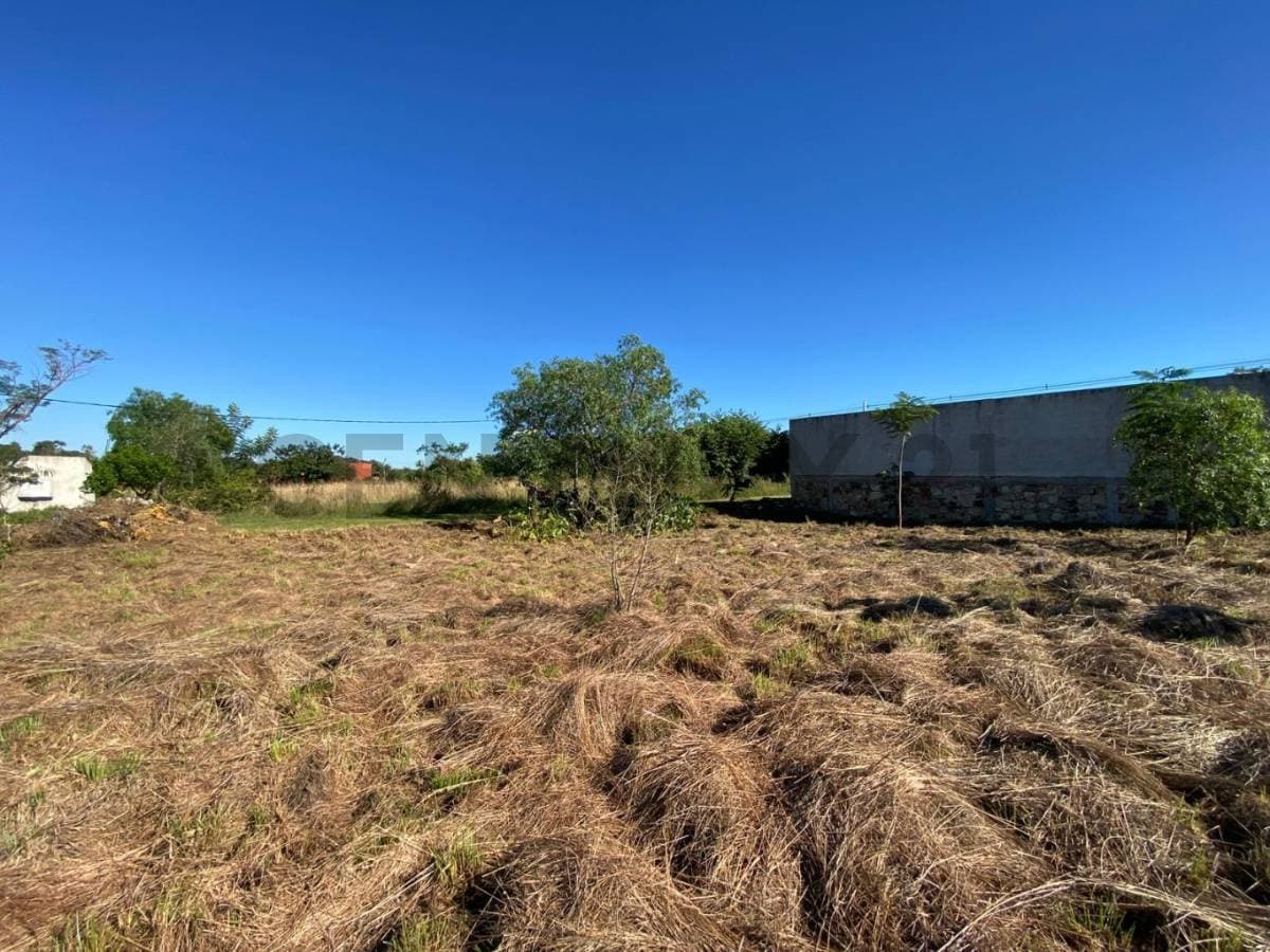 VENDO TERRENO DE 1.200 m2 EN SAN BERNARDINO – 2