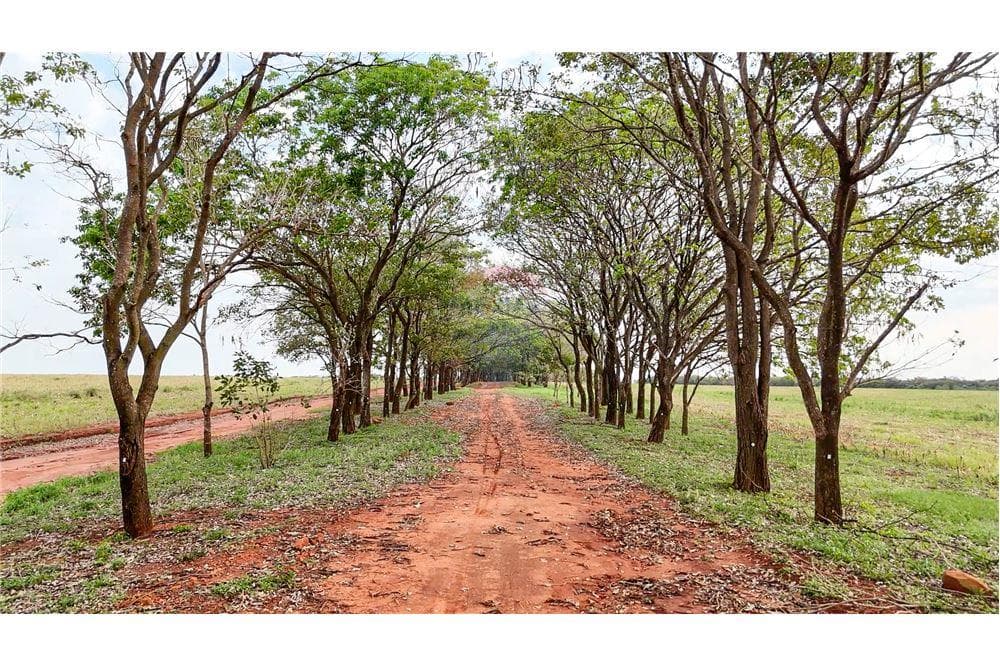 Estancia/Campo - Venta - Nueva Germania, Paraguay – 2
