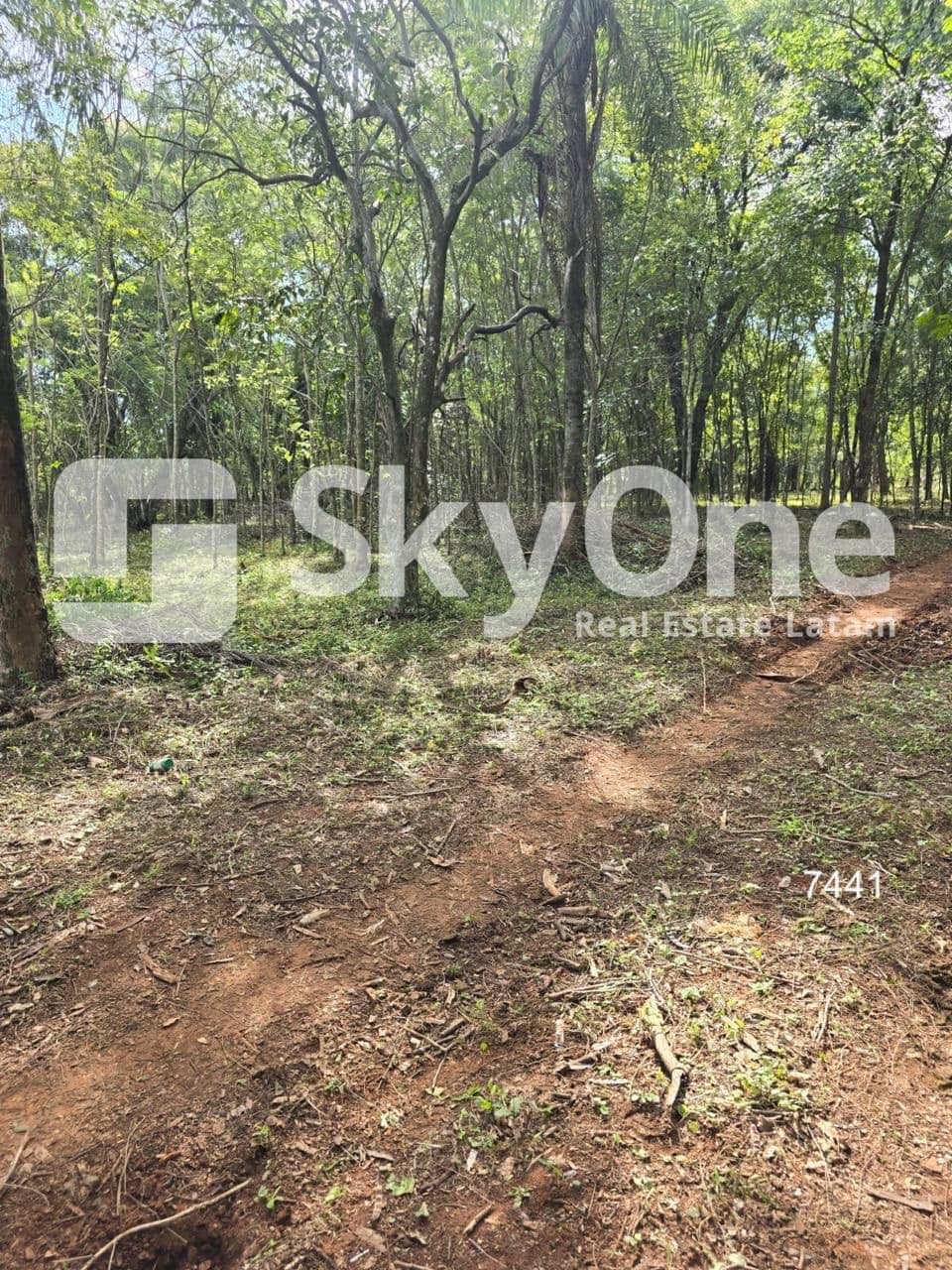 En venta terreno de 3 hectáreas en arroyos y esteros 37.500m2