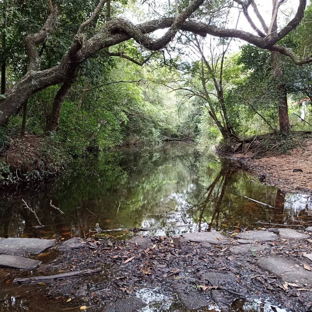 Vendo estancia en Caapucu - Departamento de Paraguarí – 2