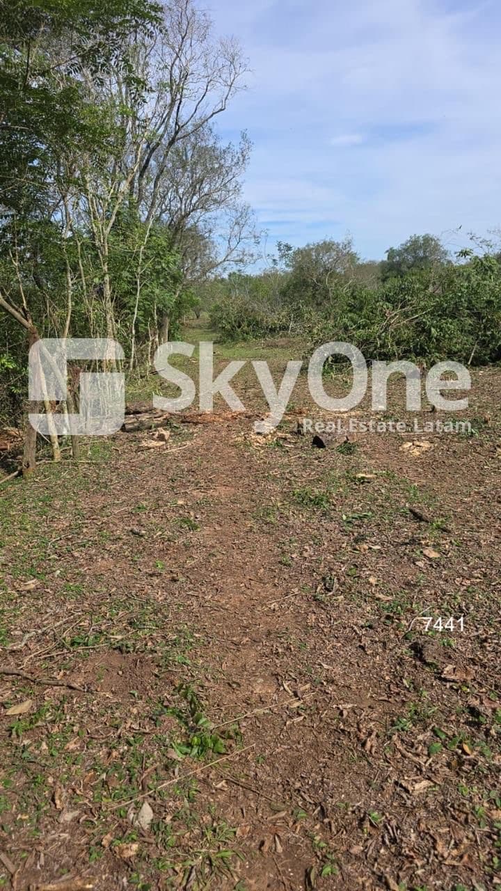 En venta terreno de 3 hectáreas en arroyos y esteros 37.500m2 – 2