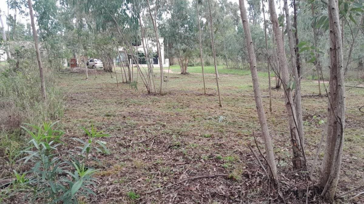 Vendo Terreno en San Bernardino‼ – 3
