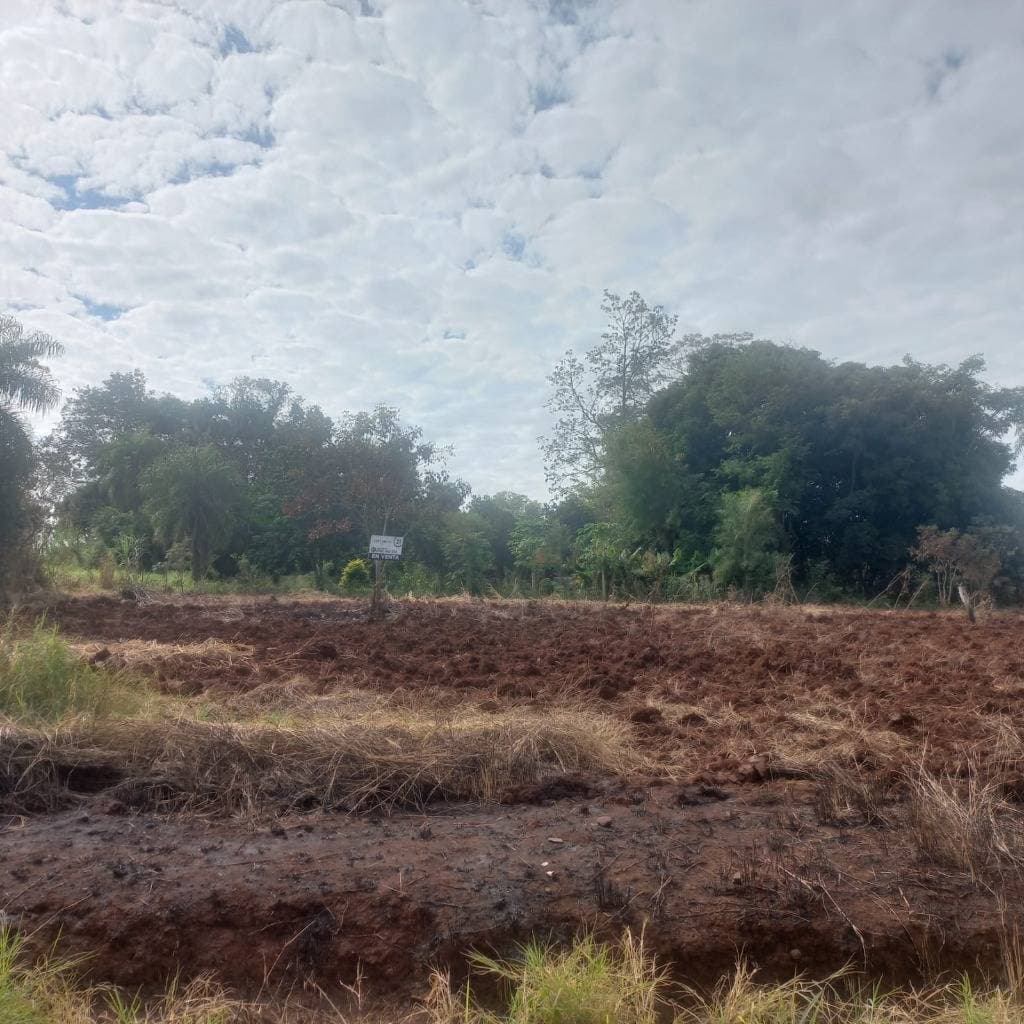 Propiedad de 2500m2 en San Juan del Parana – 2