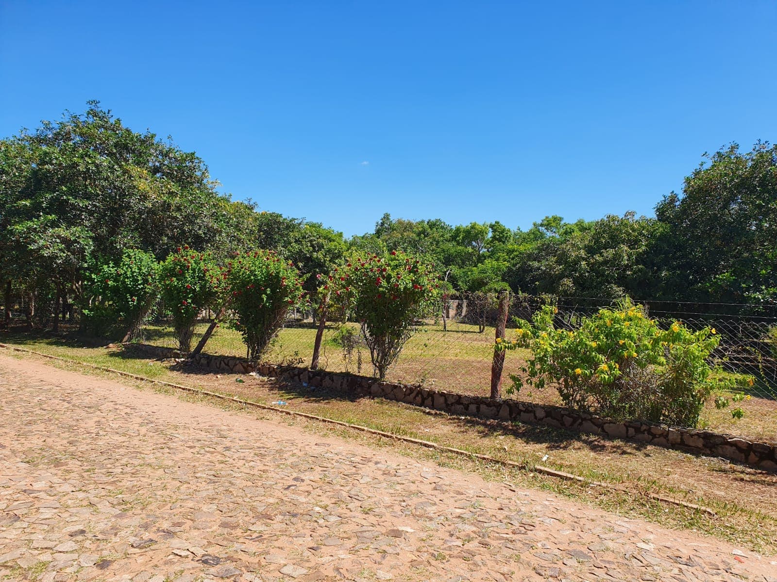 LOMA GRANDE: Exclusivo Terreno de 1.518 m² con Potencial Ilimitado.