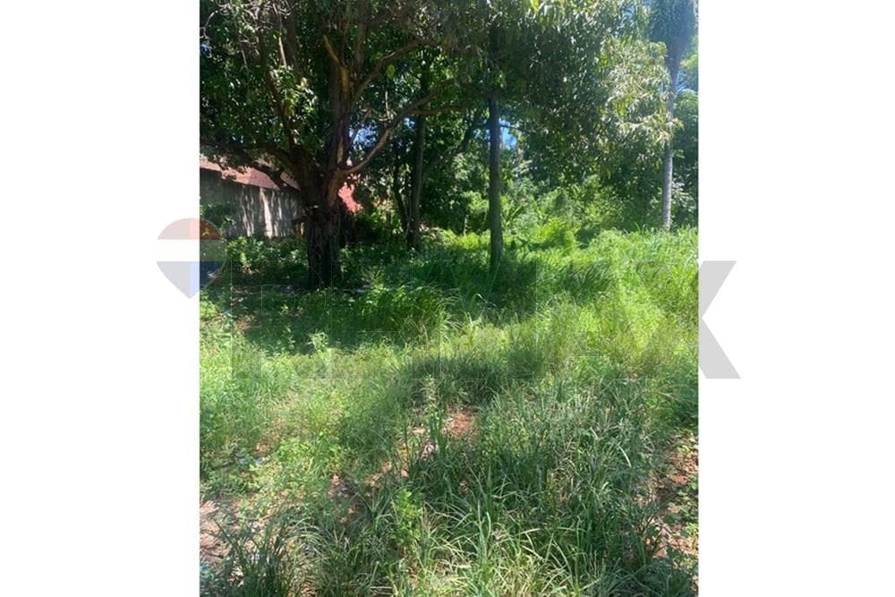 Terreno - Venta - San Lorenzo, Paraguay