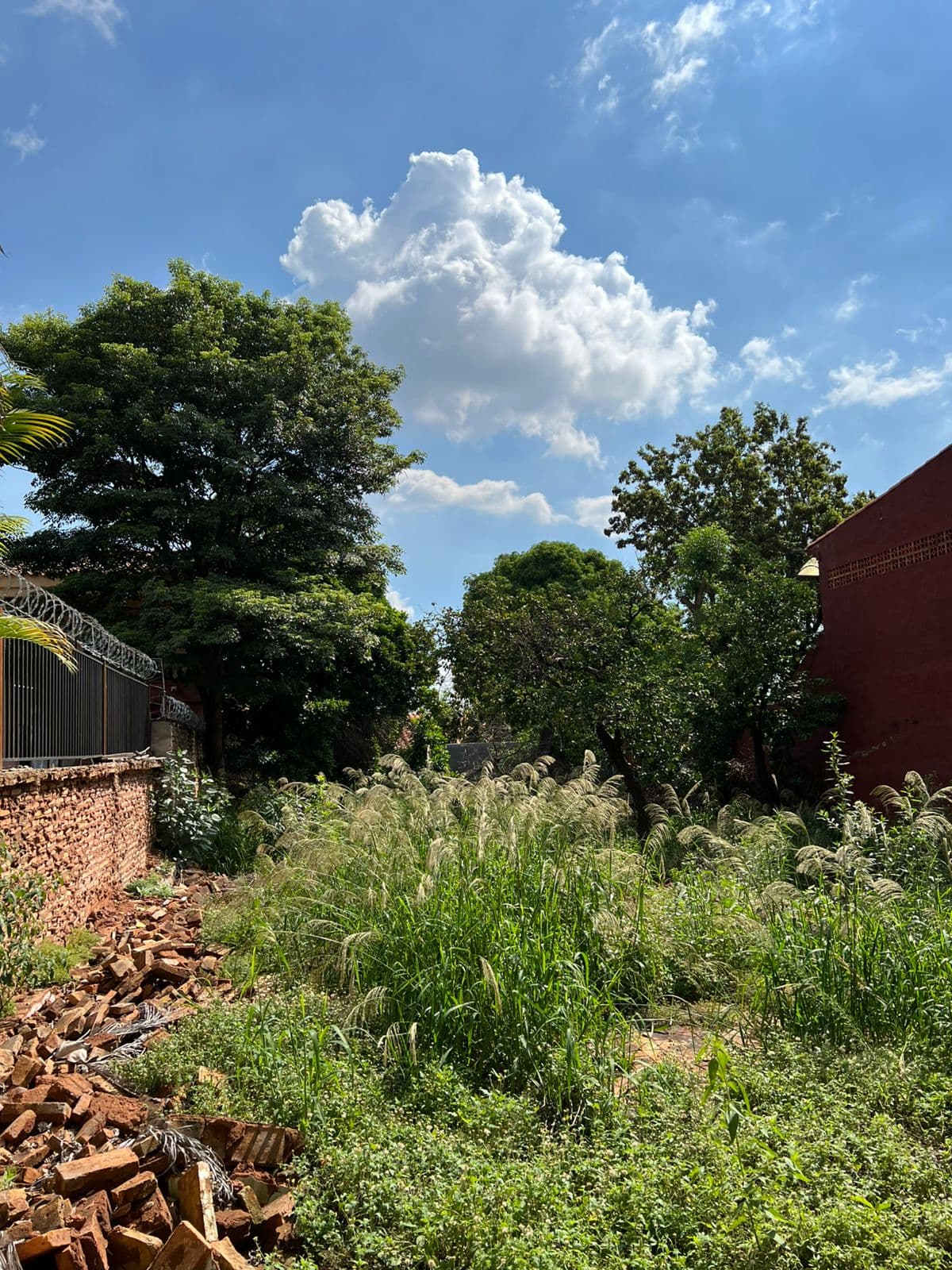 TERRENO EN VENTA LAMBARÉ‼️