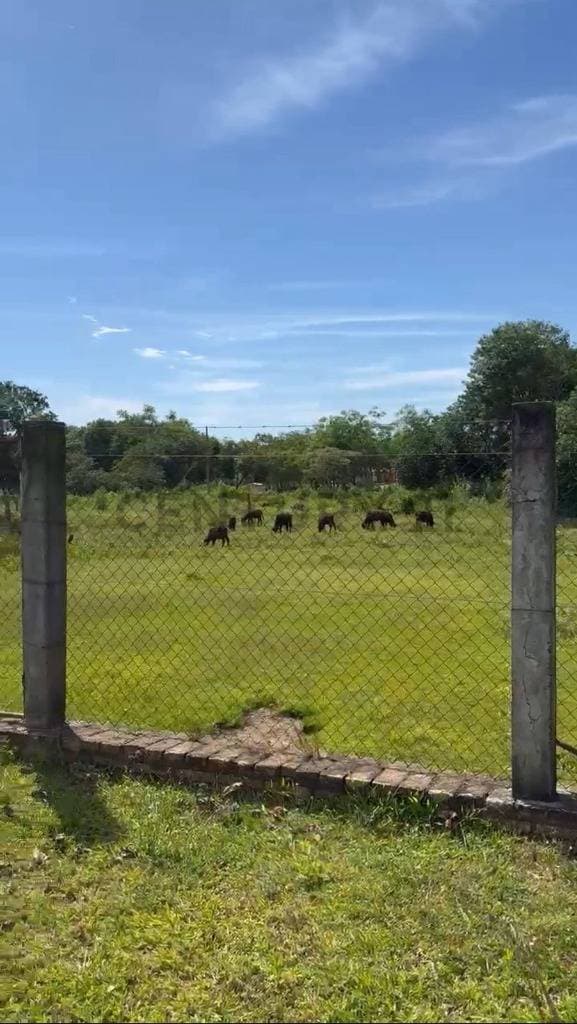Vendo granja de 48 has en Caacupe – 3