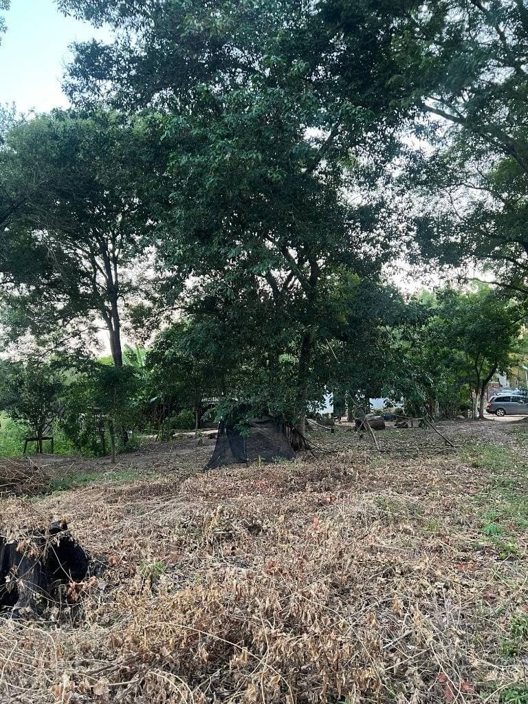 VENDO TERRENO EN LUQUE – 2
