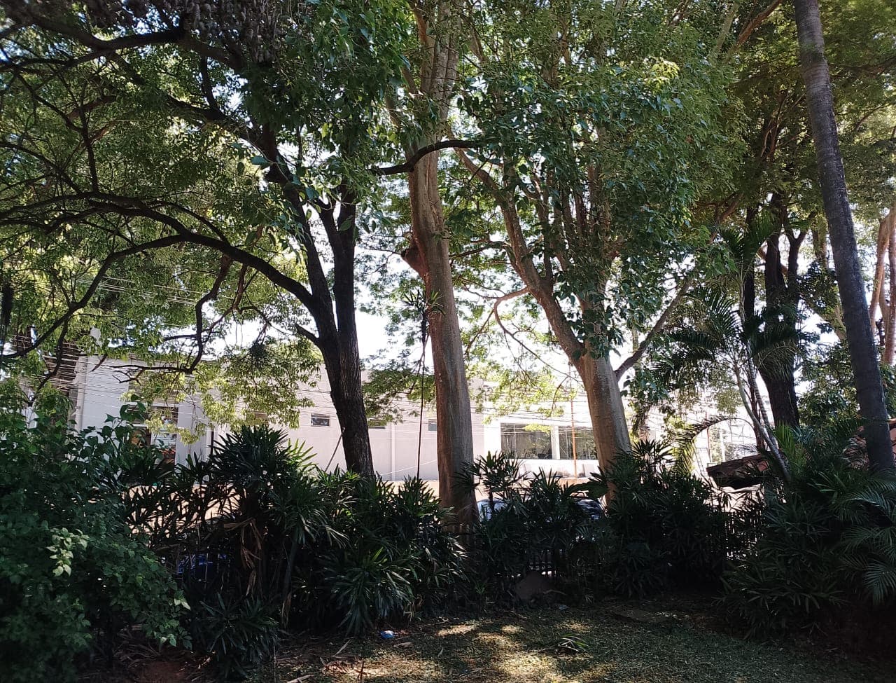 ALQUILO CASA PARA USO COMERCIAL EN VILLA MORRA ASUNCION – 2