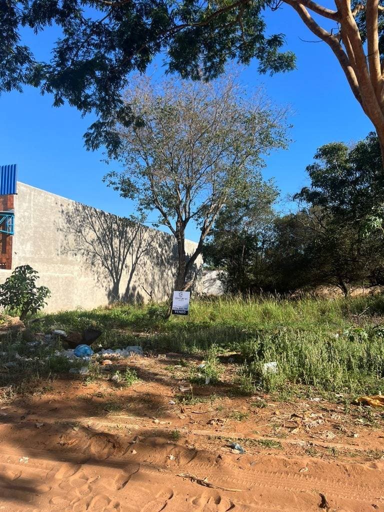 VENDO TERRENO EN LUQUE ISLA BOGAGO – 2