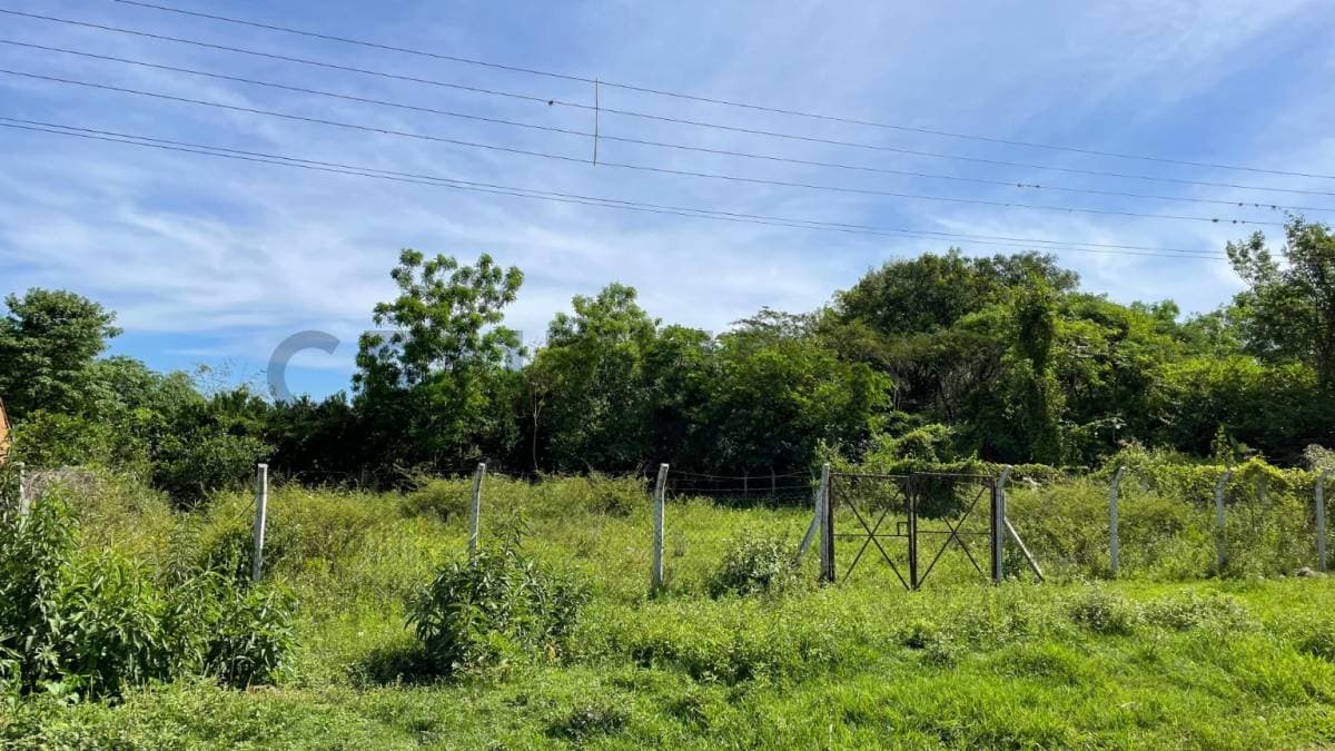 VENDE Terreno en Luque, zona Zarate Isla – 3