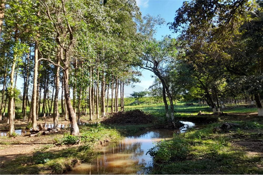 En Venta Amplia Propiedad De 8 Has Con Arroyo. Yataity Del Norte. CAIO