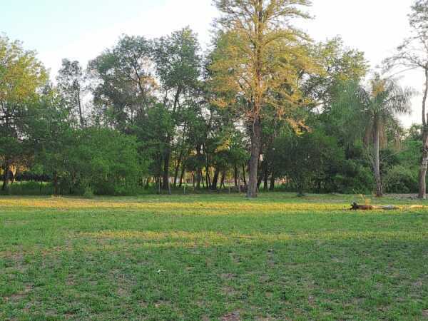EN VENTA TERRENO PARA DESARROLLADORES!  EN SAN BERNARDINO – 2