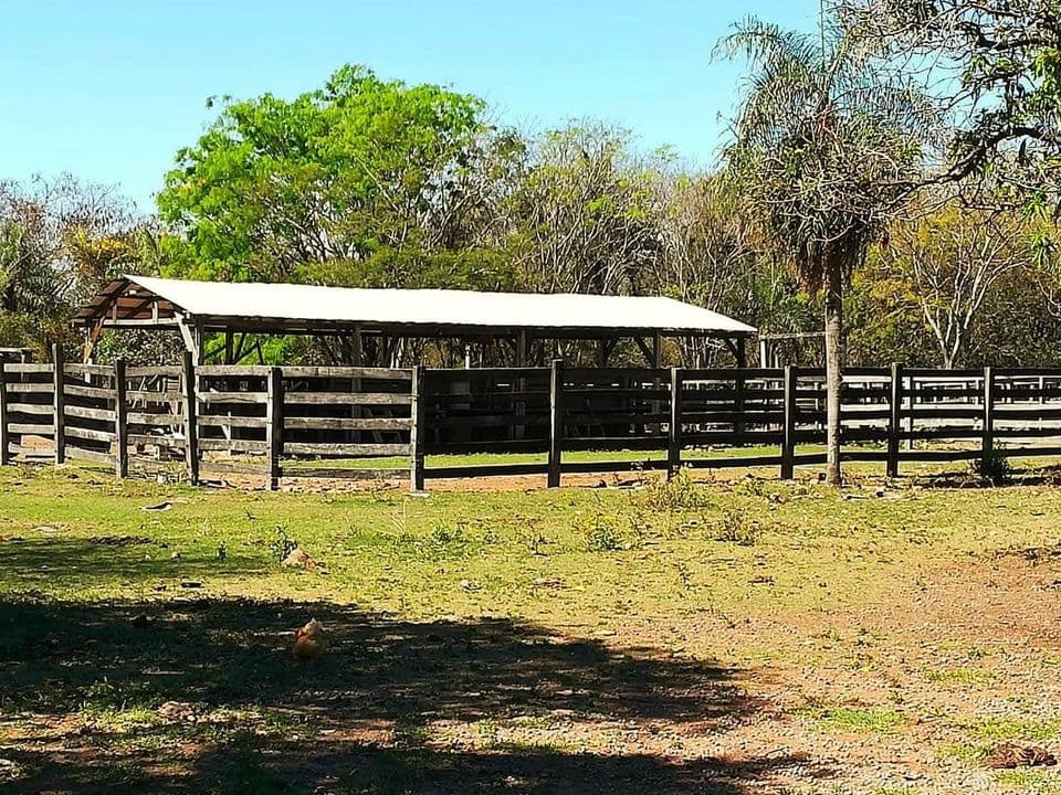 Oferta Vendo Estancia Formada En Caapucu A Tranquera Cerrada Con 150 Cabezas – 2