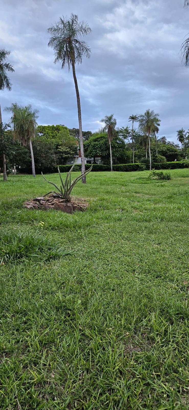 Vendo Terreno En Sanber – 3