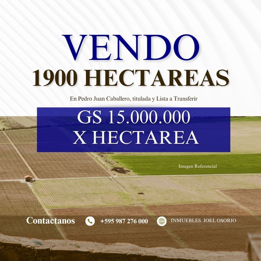 Vendo 1900 Hectareas en Pedro Juan Caballero - Gs. 15.000.000 por Hectarea – 2
