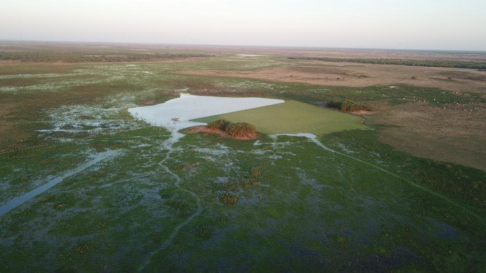 Campo De 921 Hectáreas P/ Cria Ganadera En Tte Esteban Martinez – 2