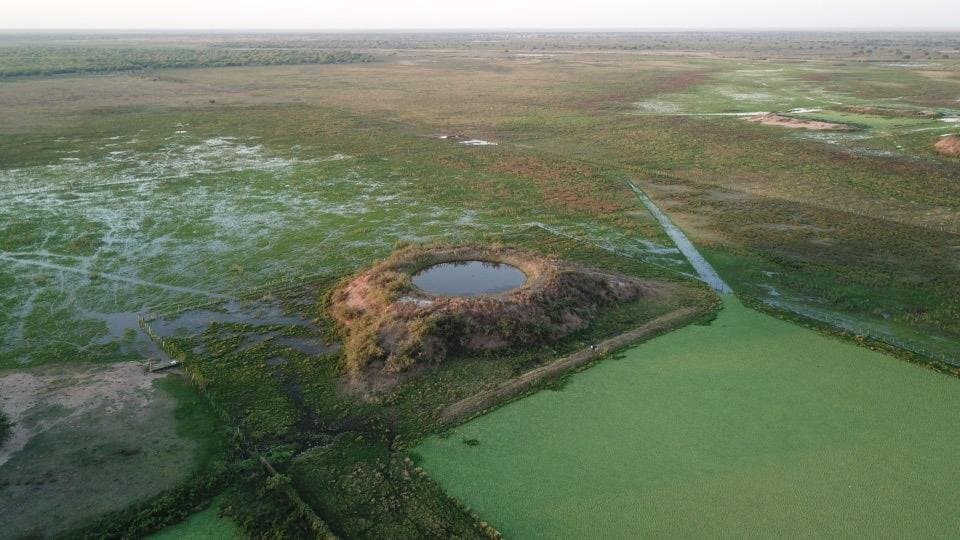 Campo De 921 Hectáreas P/ Cria Ganadera En Tte Esteban Martinez – 3