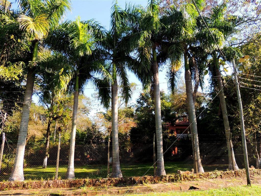 Hermosa Casa Quinta a metros del Lago Ypacaraí.