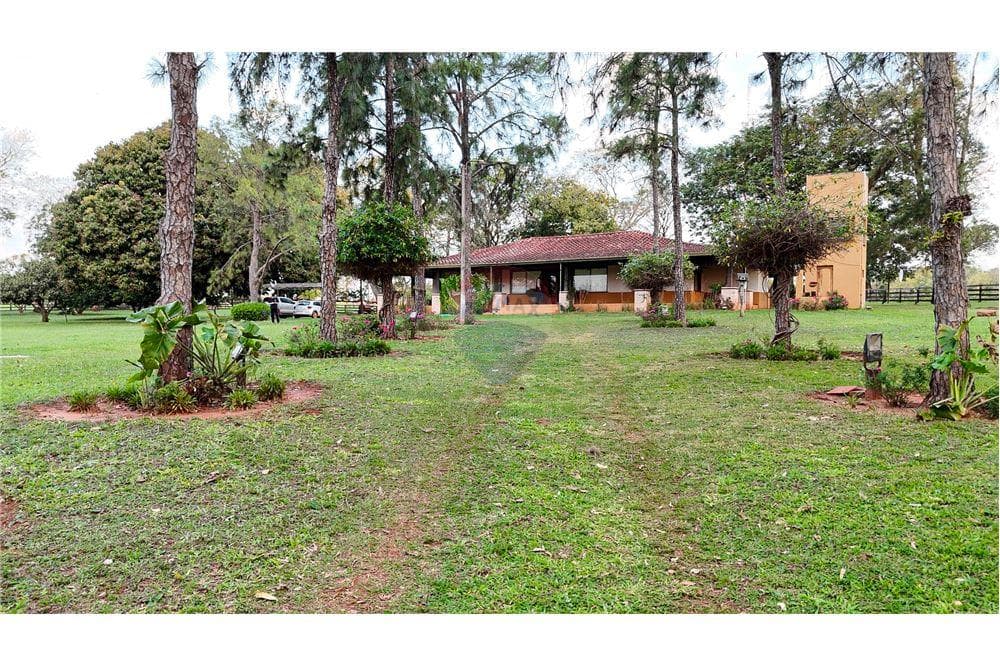 Finca agricola venta Nueva Germania San Pedro Paraguay – 3