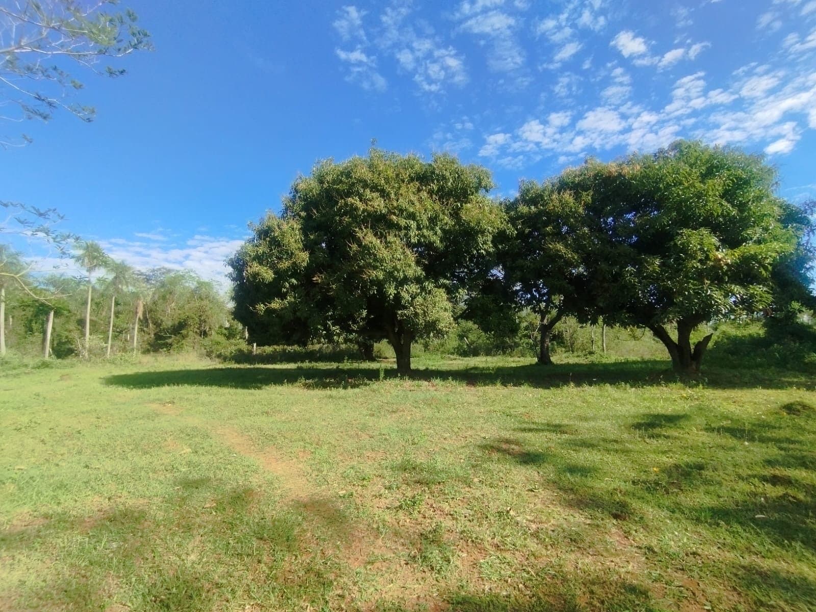 En venta amplio terreno en Aregua-Pindolo – 2