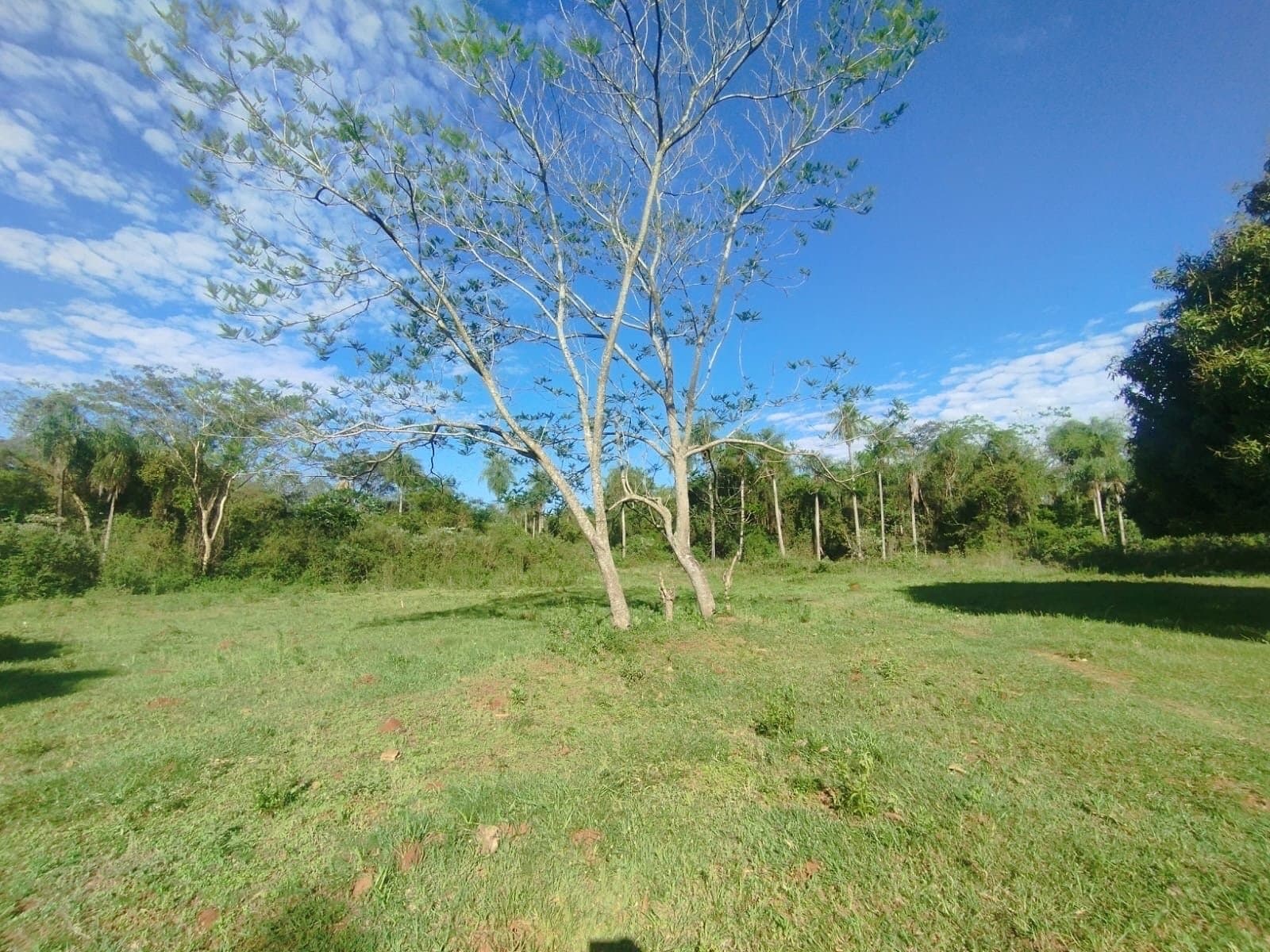 En venta amplio terreno en Aregua-Pindolo – 3