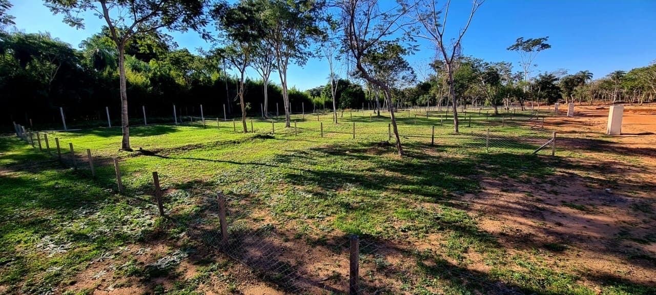 Proyecto Areguá Forest En Pozo – 2