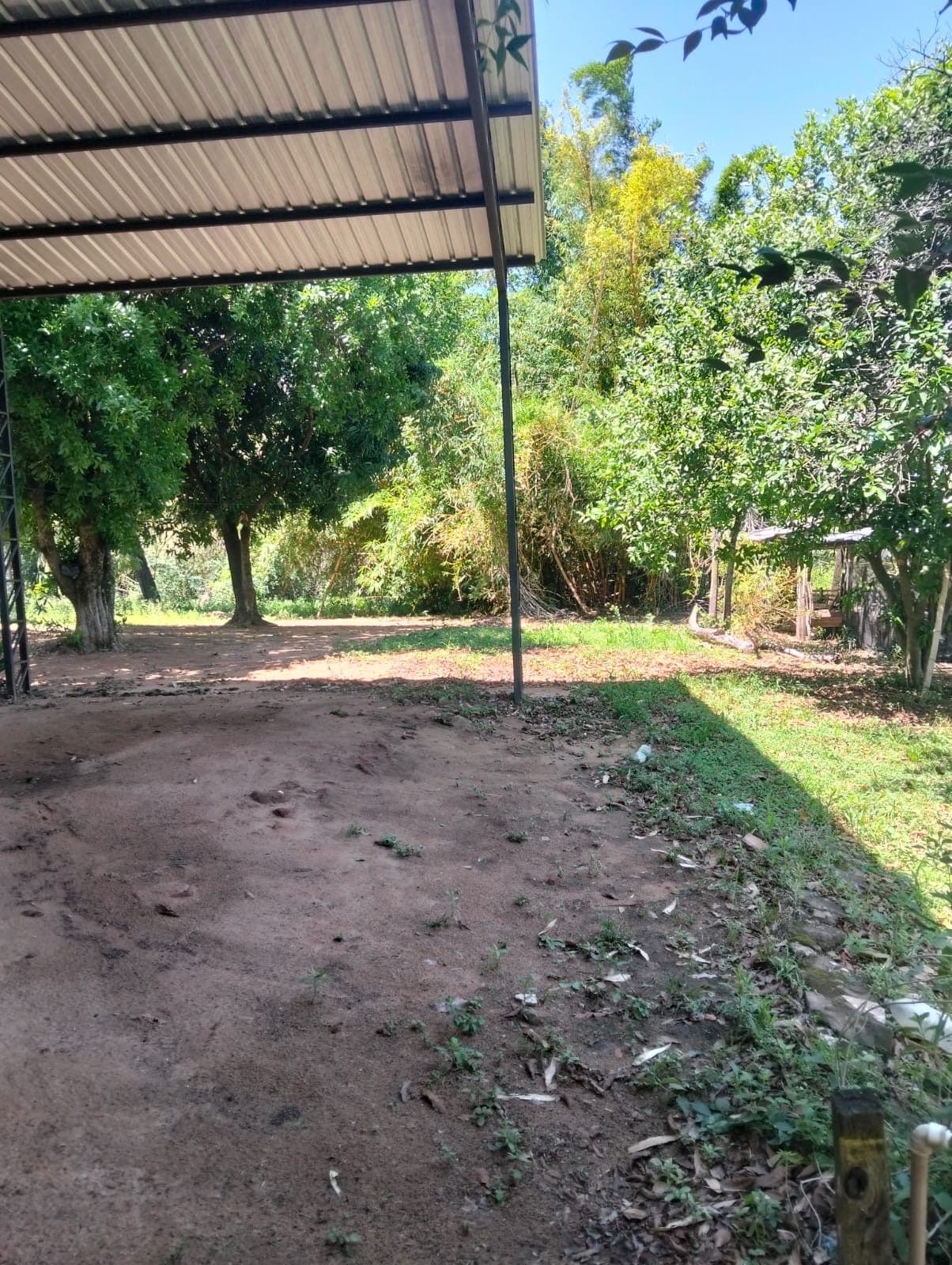 Exclusivo Terreno en Caaguazú: ¡Tu Oportunidad de Inversión y Desarrollo!" – 2