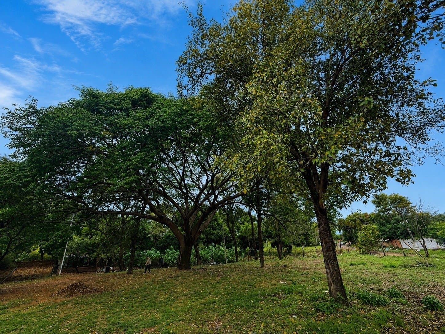 Terrenos en Ita Enramada – 2