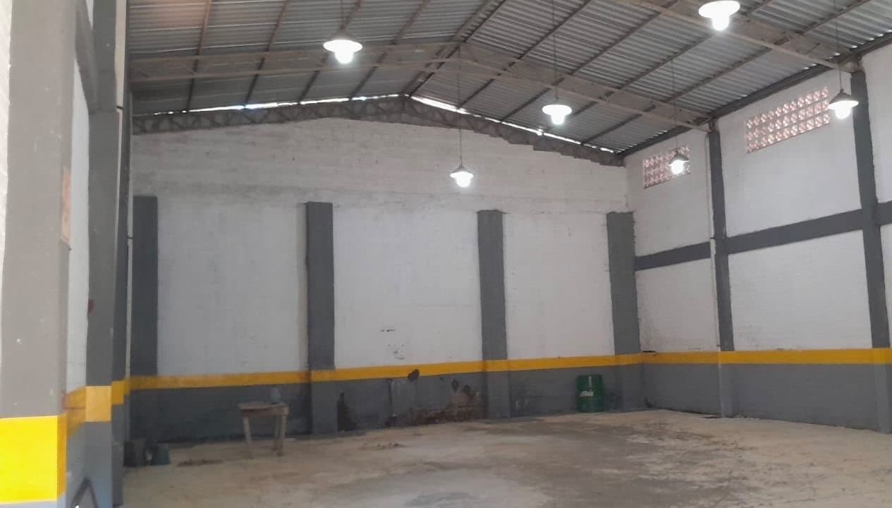 Alquill tinglado en san lorenzo sobre avelino martinez – 2