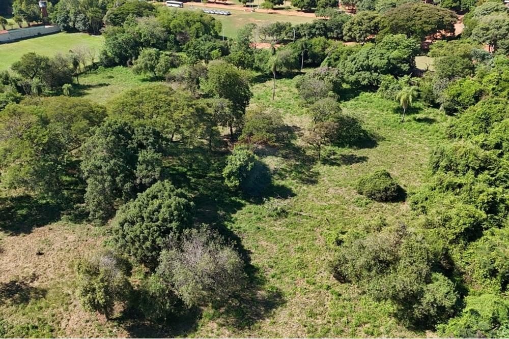 VENDO TERRENO DE 1HA EN LUQUE ZONA CIT – 3