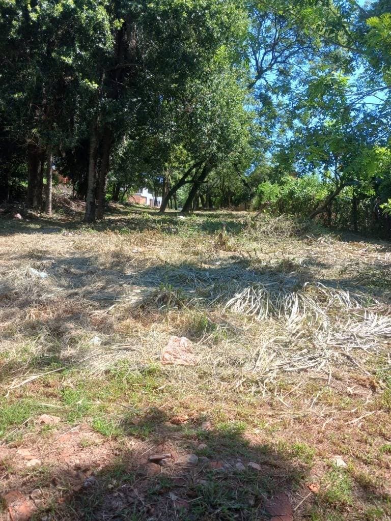 VENDO TERRENO LAURELTY - EN SAN LORENZO