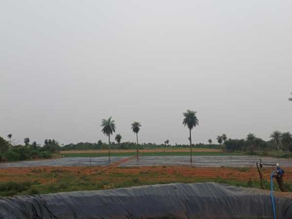 VENDO 8 HECTAREAS EN VILLETA – 2