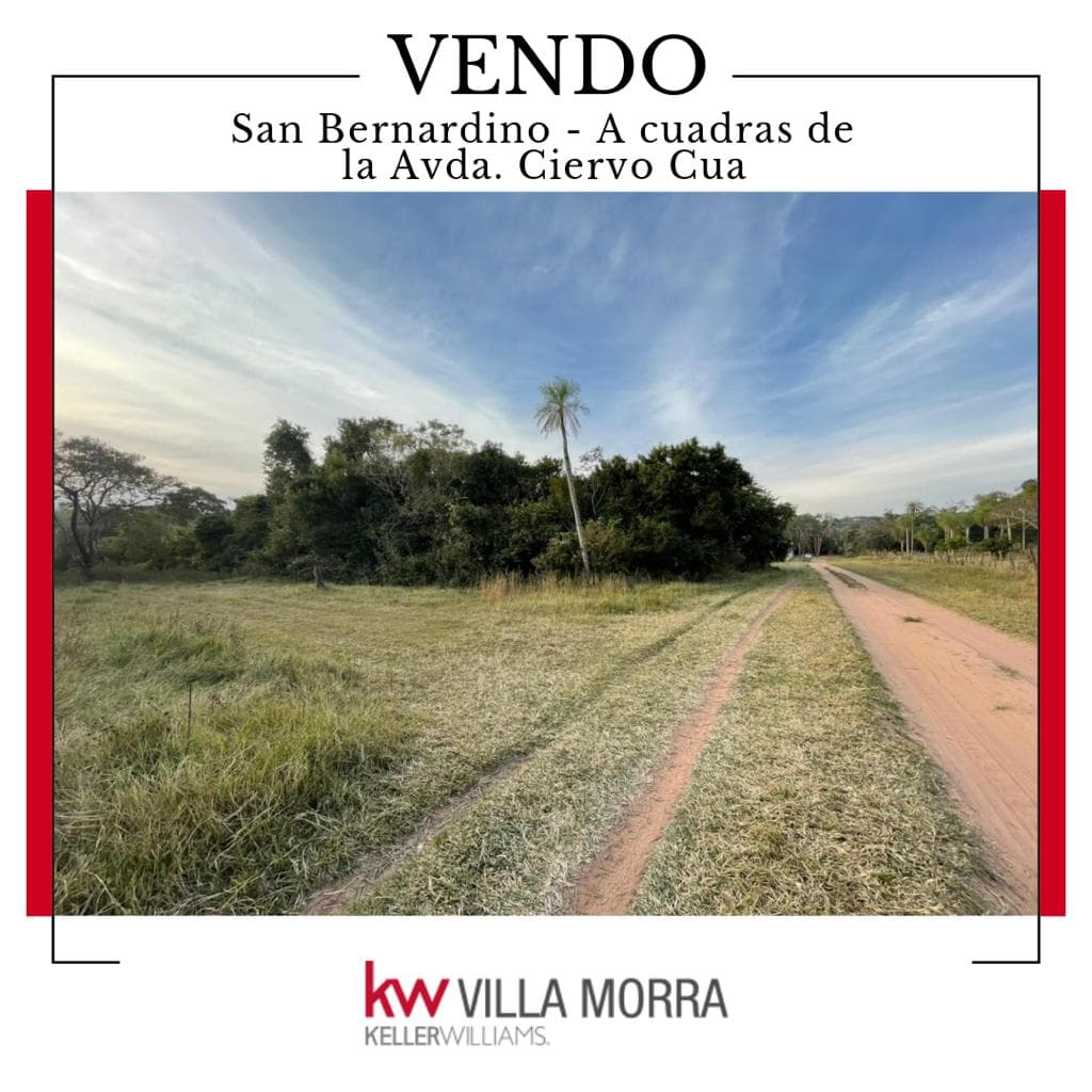 VENDO TERRENO EN SAN BERNARDINO – 2