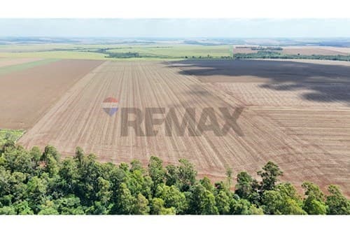 Vendo Terreno de 78 hectáreas en Santa Rita ideal para lotear o industriales