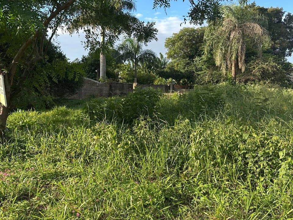 VENDO TERRENO EN BARRIO SALINAS ÑEMBY – 2