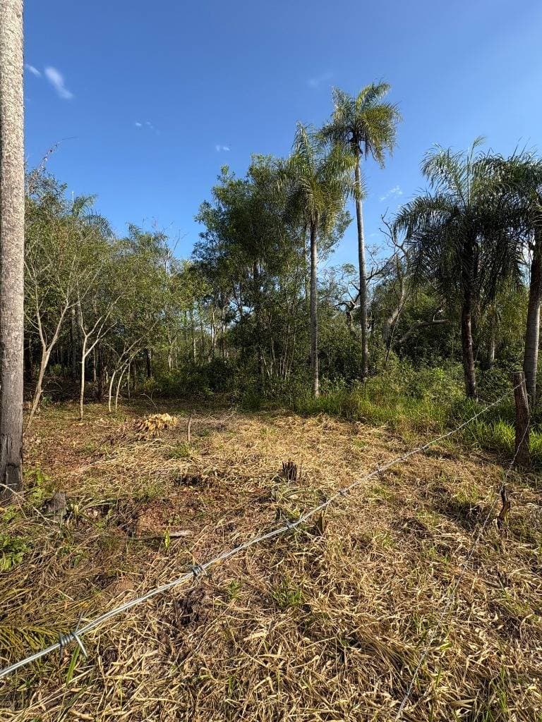 VENDO TERRENO EN SAN BERNARDINO ZONA ANFI