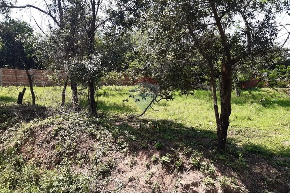 VENDO 3 TERRENO EN LUQUE junto o separados – 3