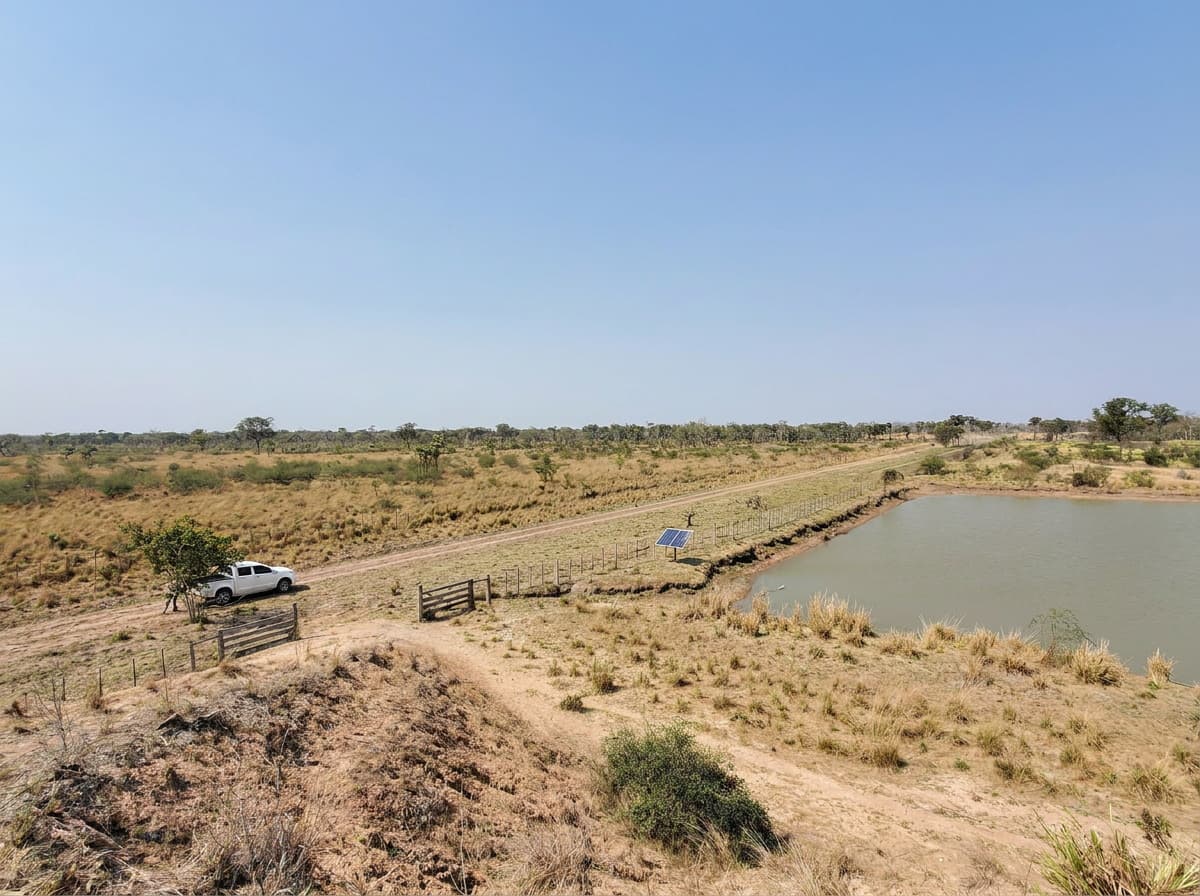 Estancia Ganadera Formada En Venta – Zona Montelindo, Chaco (8.600 Ha)