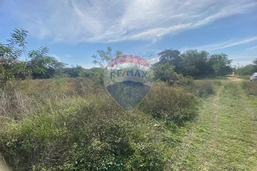 Vendo terreno residencial sin construir en Zárate Isla, Luque – 3