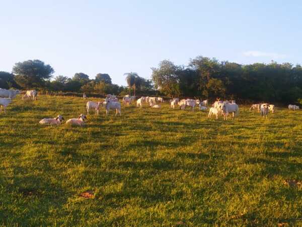VENTA DE PROPIEDAD RURAL EN QUIINDY